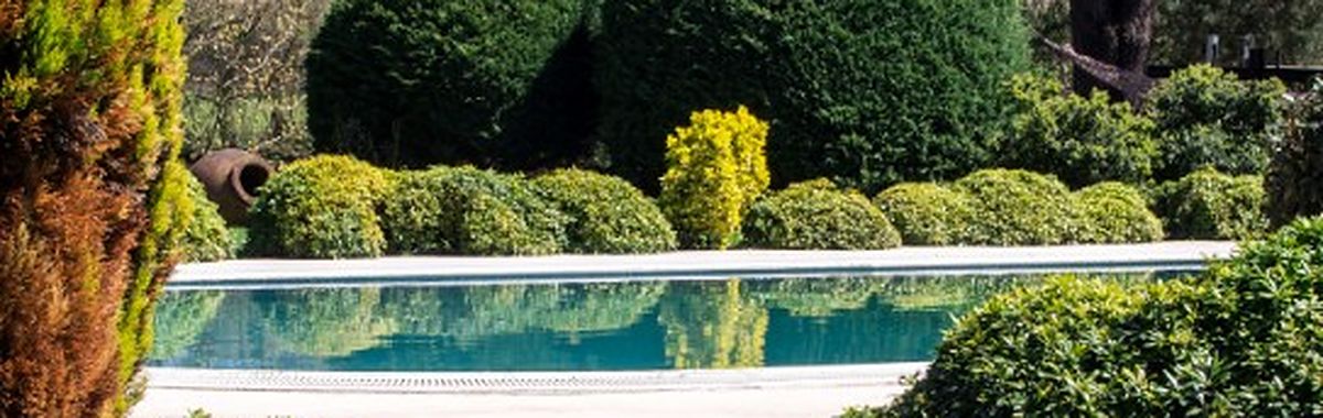 Piscina con el agua cristalina tras su mantenimiento en un jardín de la Costa del Sol